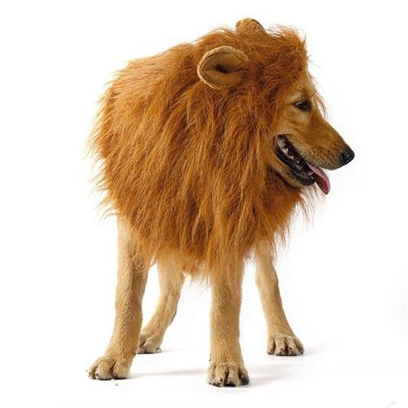 Cute Pet Cosplay Clothes Transfiguration Costume, Lion Mane, Winter Warm Wig