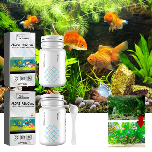 Algae And Moss Removers For Aquarium Cleaning