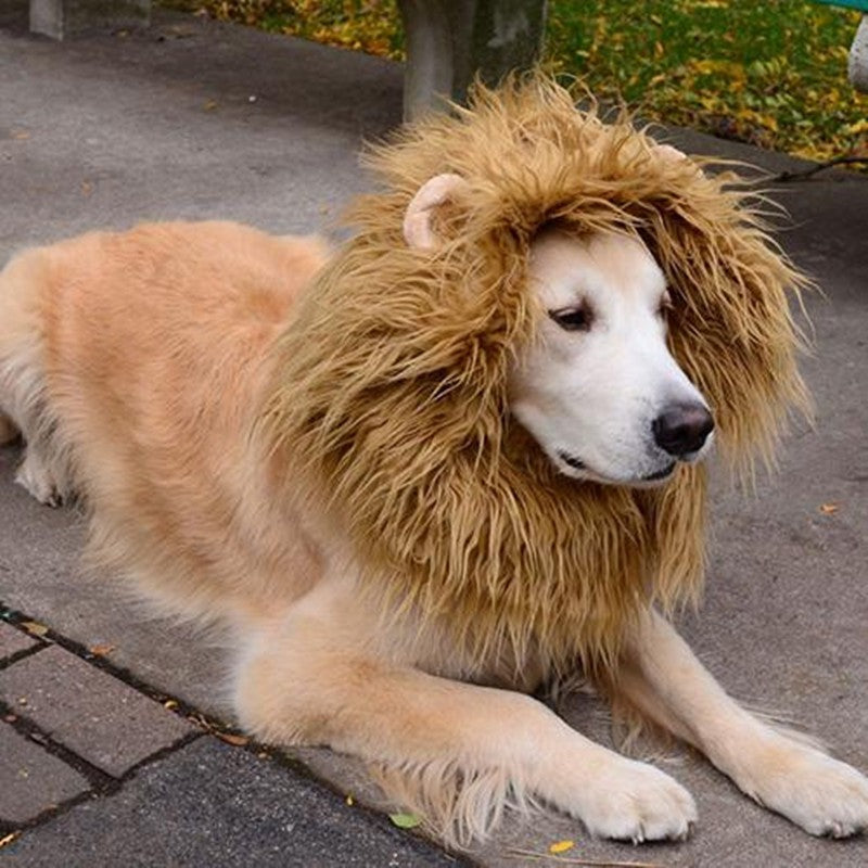 Cute Pet Cosplay Clothes Transfiguration Costume, Lion Mane, Winter Warm Wig