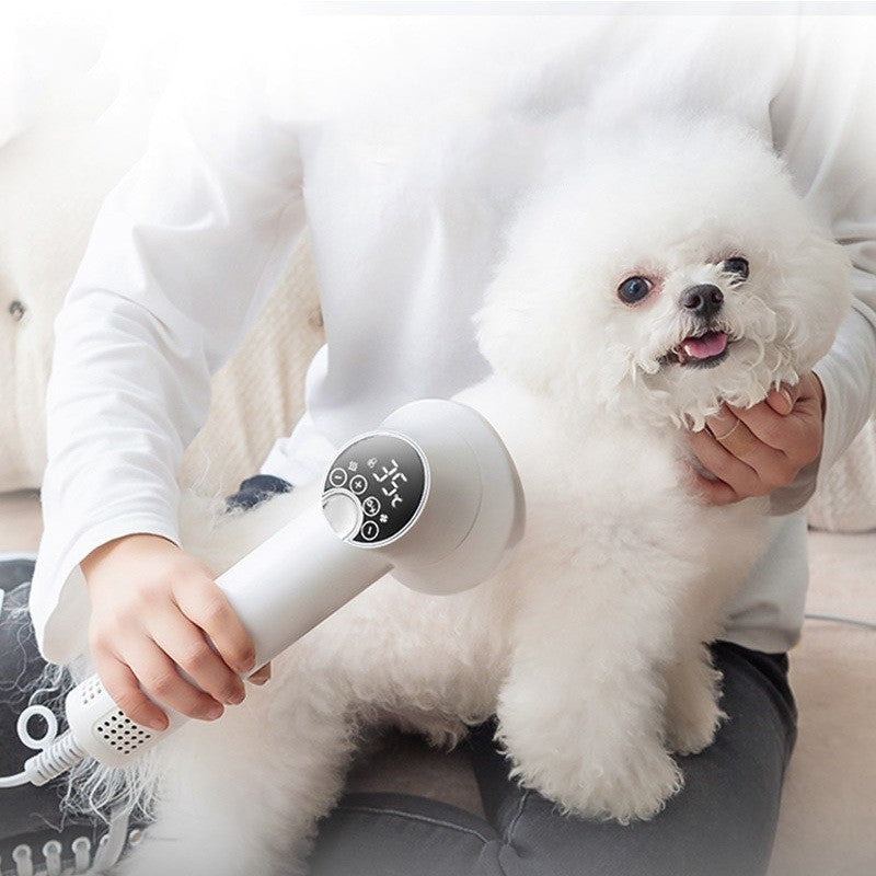 Smart Pet Hair Dryer, Blow & Comb