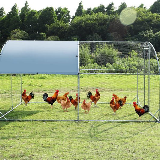 Upgrading A Large Metal Chicken Coop With Three Support Steel Wire Impregnated Mesh Cage