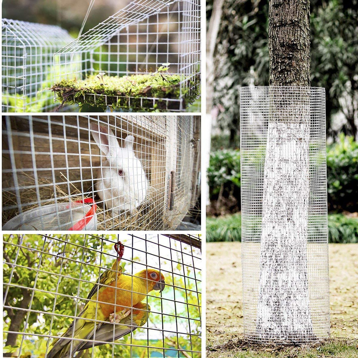 Chicken Wire Mesh Fence Roll After Metal Welding