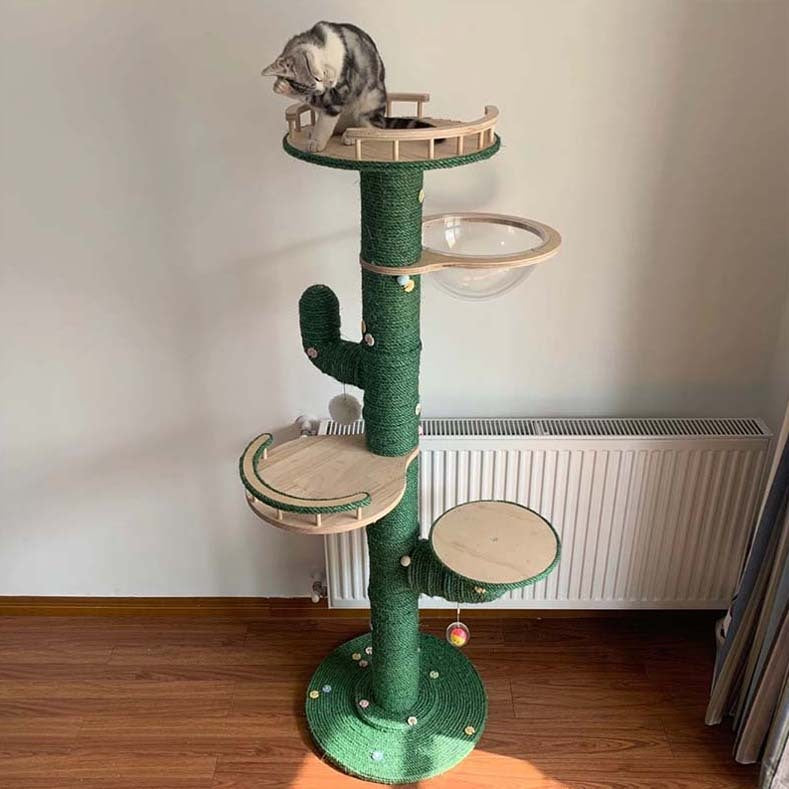 Cactus Cat Climbing Frame Self-made Material Package