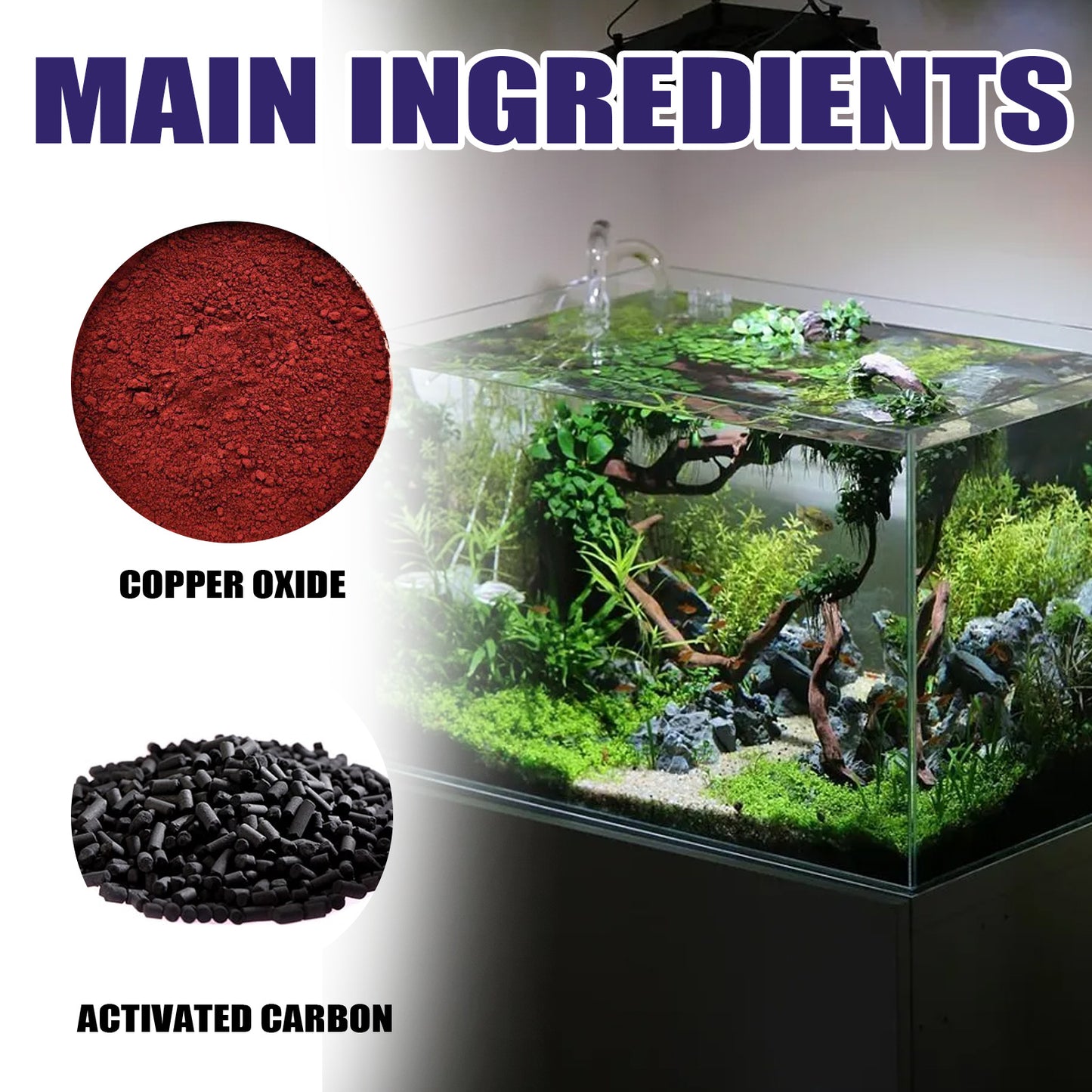 Algae And Moss Removers For Aquarium Cleaning